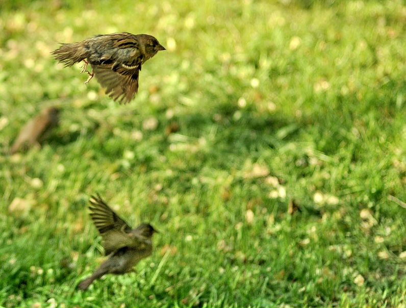 №13, Игорь Жук, 6.9.1986, Кострома №13, Игорь Жук, 6.9.1986, Кострома