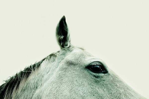 Нина Курина | Москва