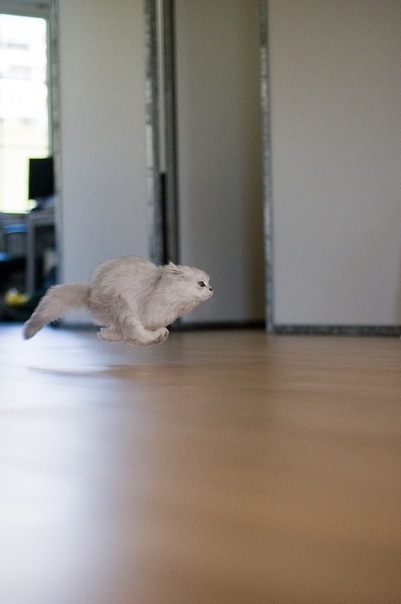 №110, Алина Малина, Волгоград №110, Алина Малина, Волгоград