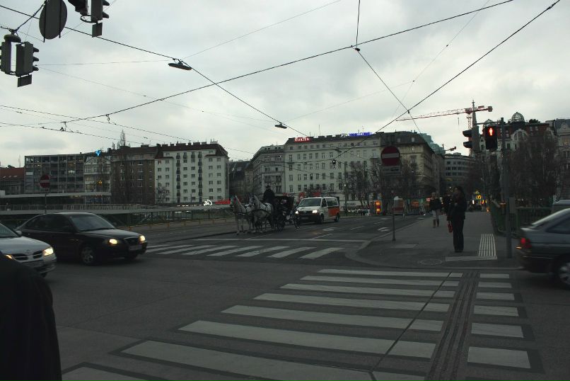 Ксения Зайцева | 