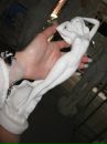 Фотография Марина Pavlova