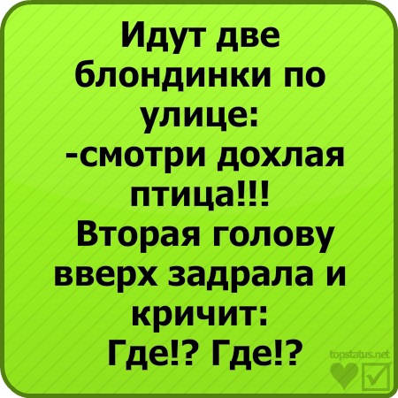 №12, Наташа Карпенко, Кременчуг №12, Наташа Карпенко, Кременчуг