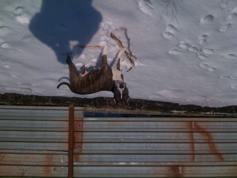 Виктор Пришляк | Кропивницкий / Кировоград