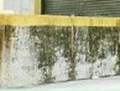 Николай Мутин | Новощербиновская