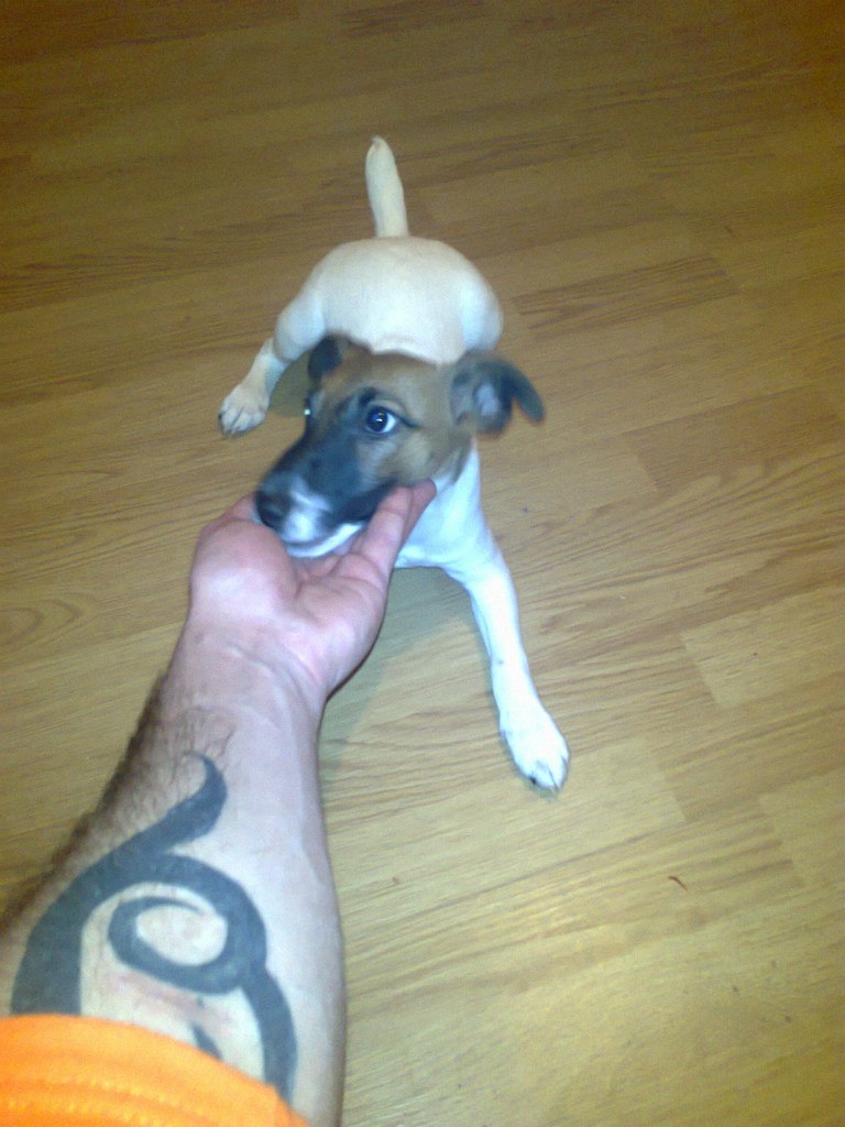 Карен Маркарян | Москва