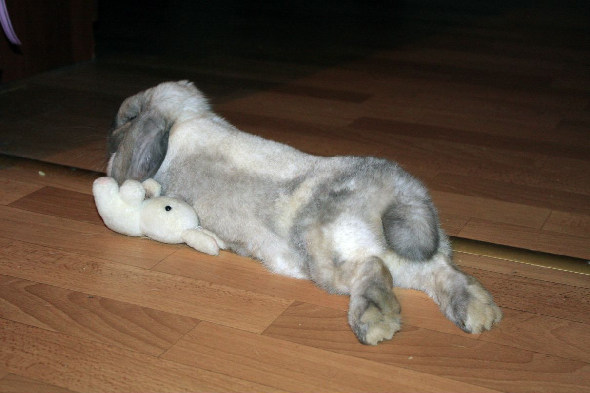 Лана Кутузова | Москва