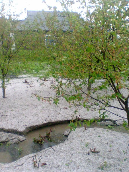 №9, Віктор Орлов №9, Віктор Орлов