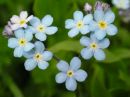 №18 Катя Борисова : профиль, фото, статус - ВКонтакте