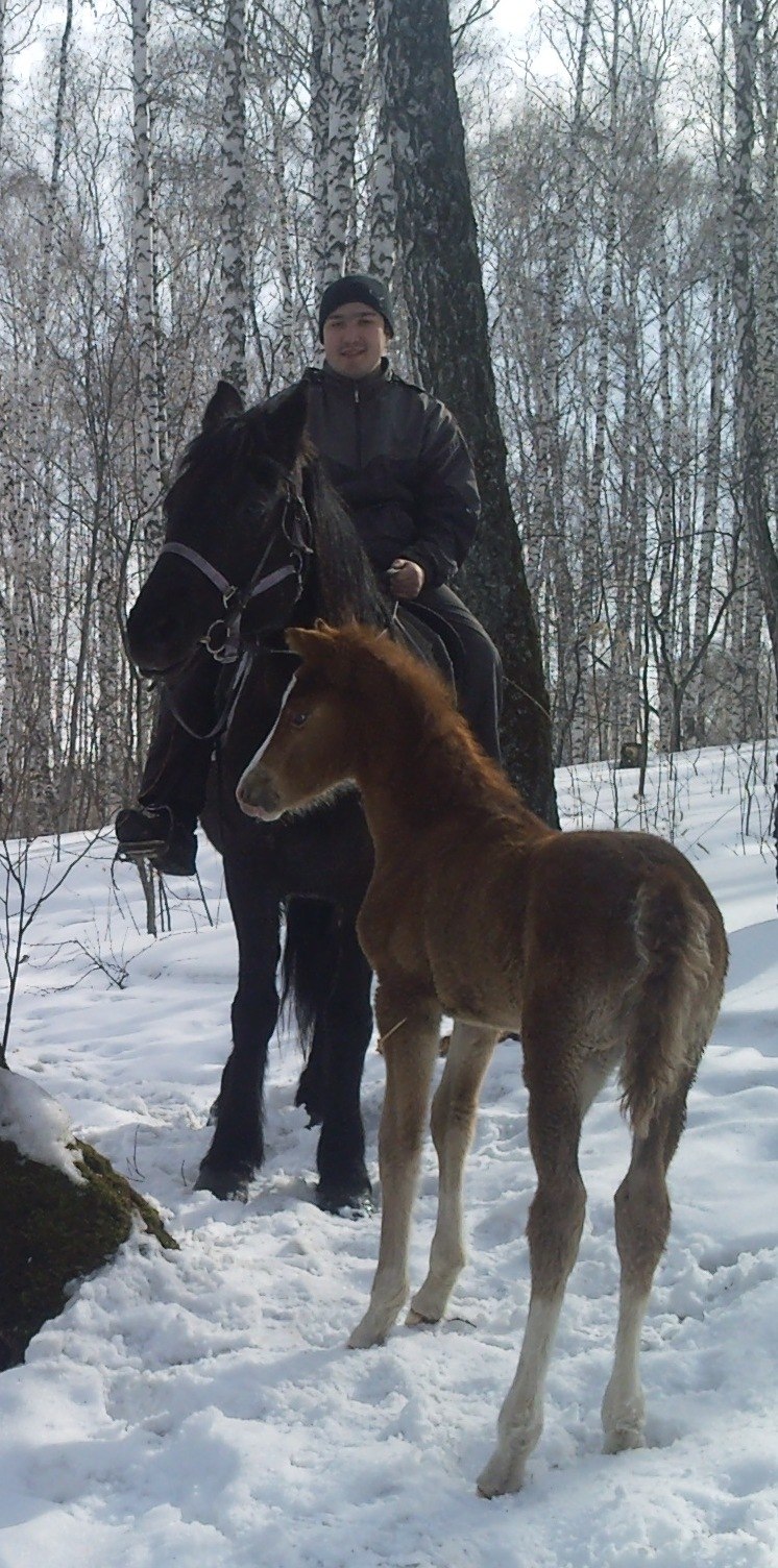 Артем Халбашкин | Красноярск