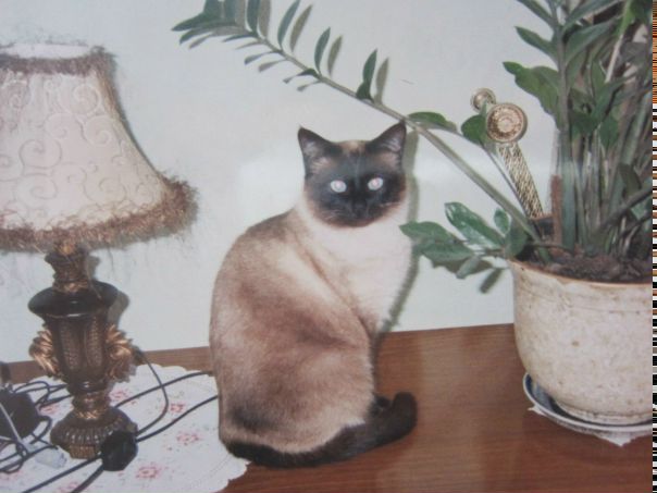 №15, Валентина Самойленко №15, Валентина Самойленко