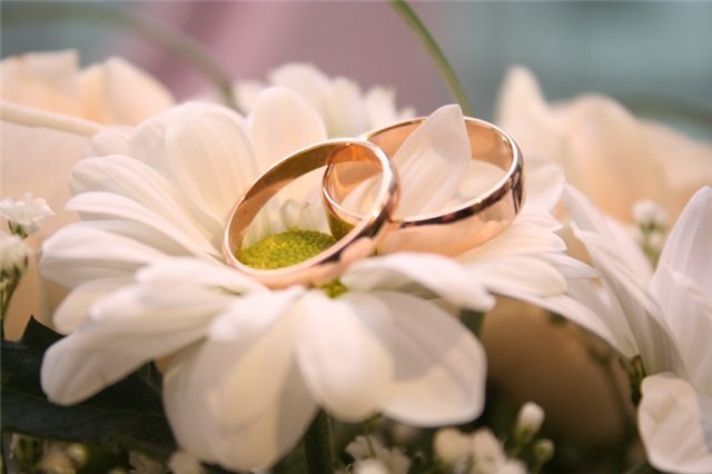 Виктория Туманова | Владивосток