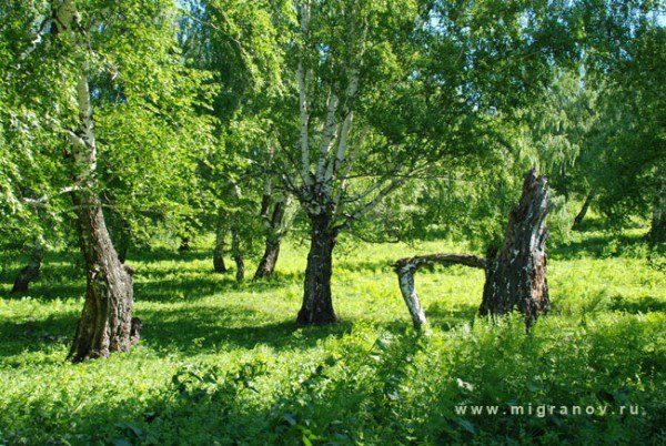 №129, Наталья Гажа, Харьков №129, Наталья Гажа, Харьков