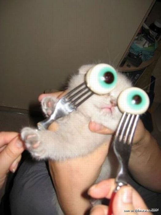 Юльчик Преминина | Москва