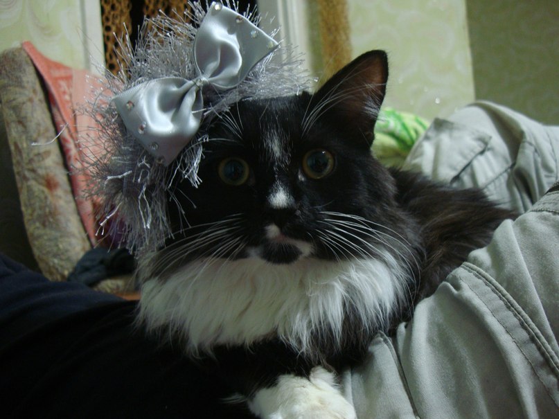 Надежда Ковалёва | Нижний Новгород