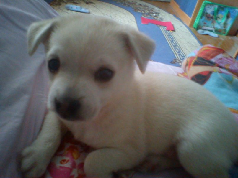 Katy Bystrova | Череповец