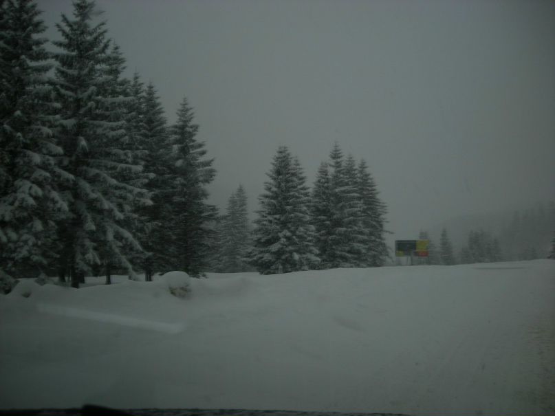 Евгений Володько | Алушта