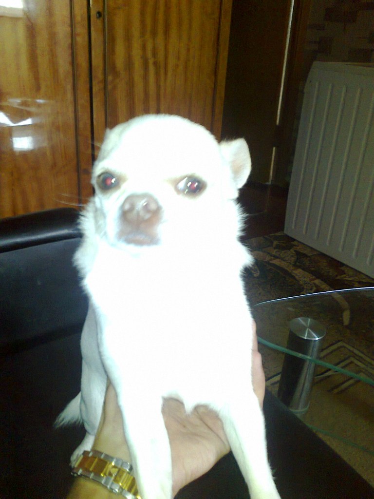 Игорь Язовских | Луганск