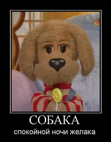 Андрей Бондаренко | New York City