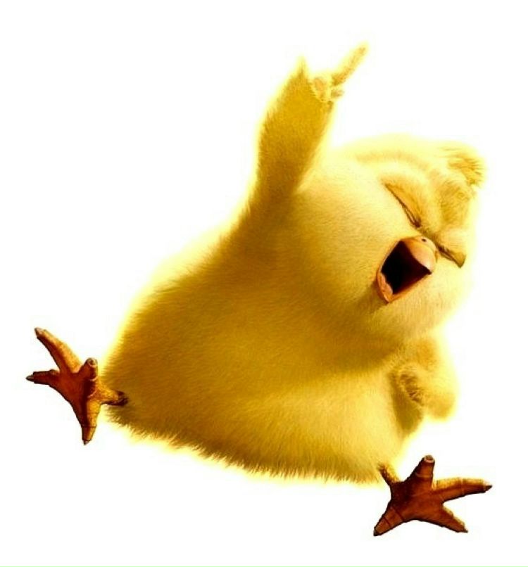 Akmaral Belgibekova | 