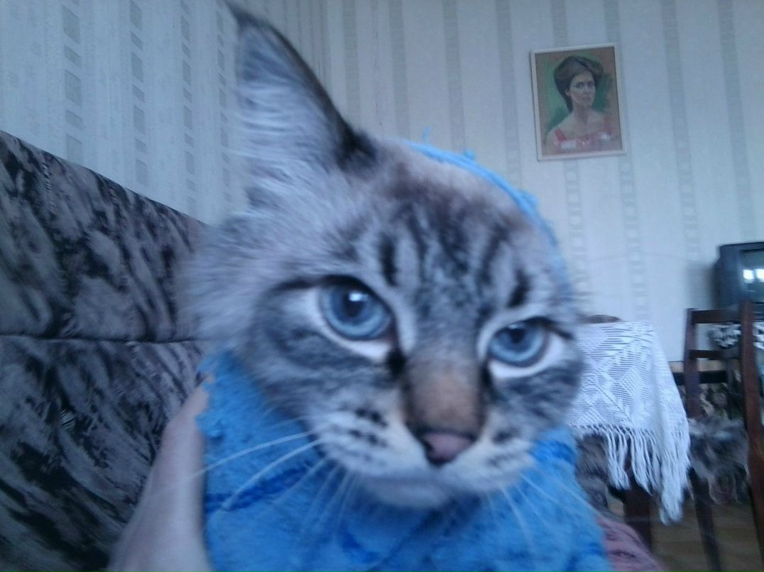 Мария Корлякова | Ижевск