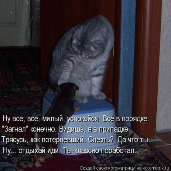 Ольга Валяева Евгеньевна | Ярославль
