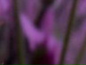 Юлианна Татьянина | Москва