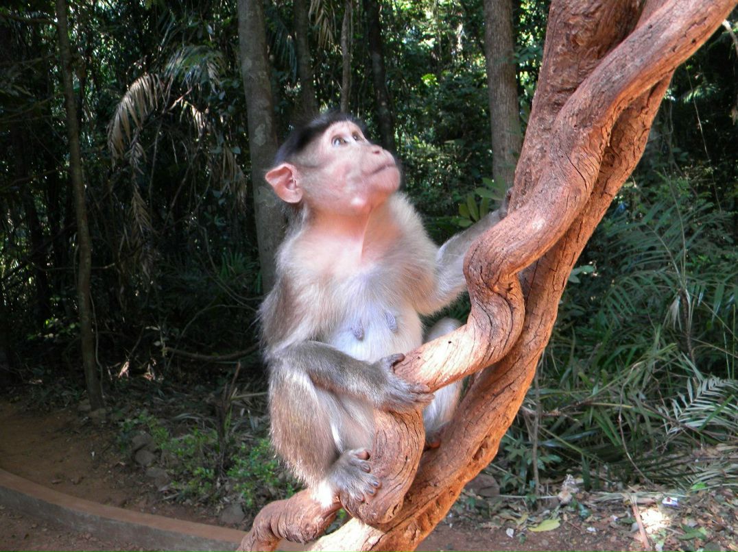 Сергей Головченко | Челябинск