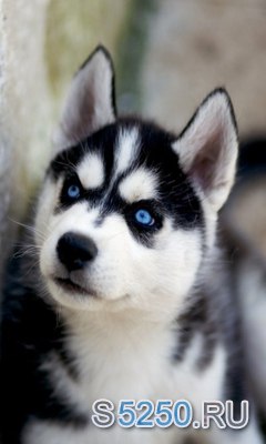 Женя Ярошенко | Киев