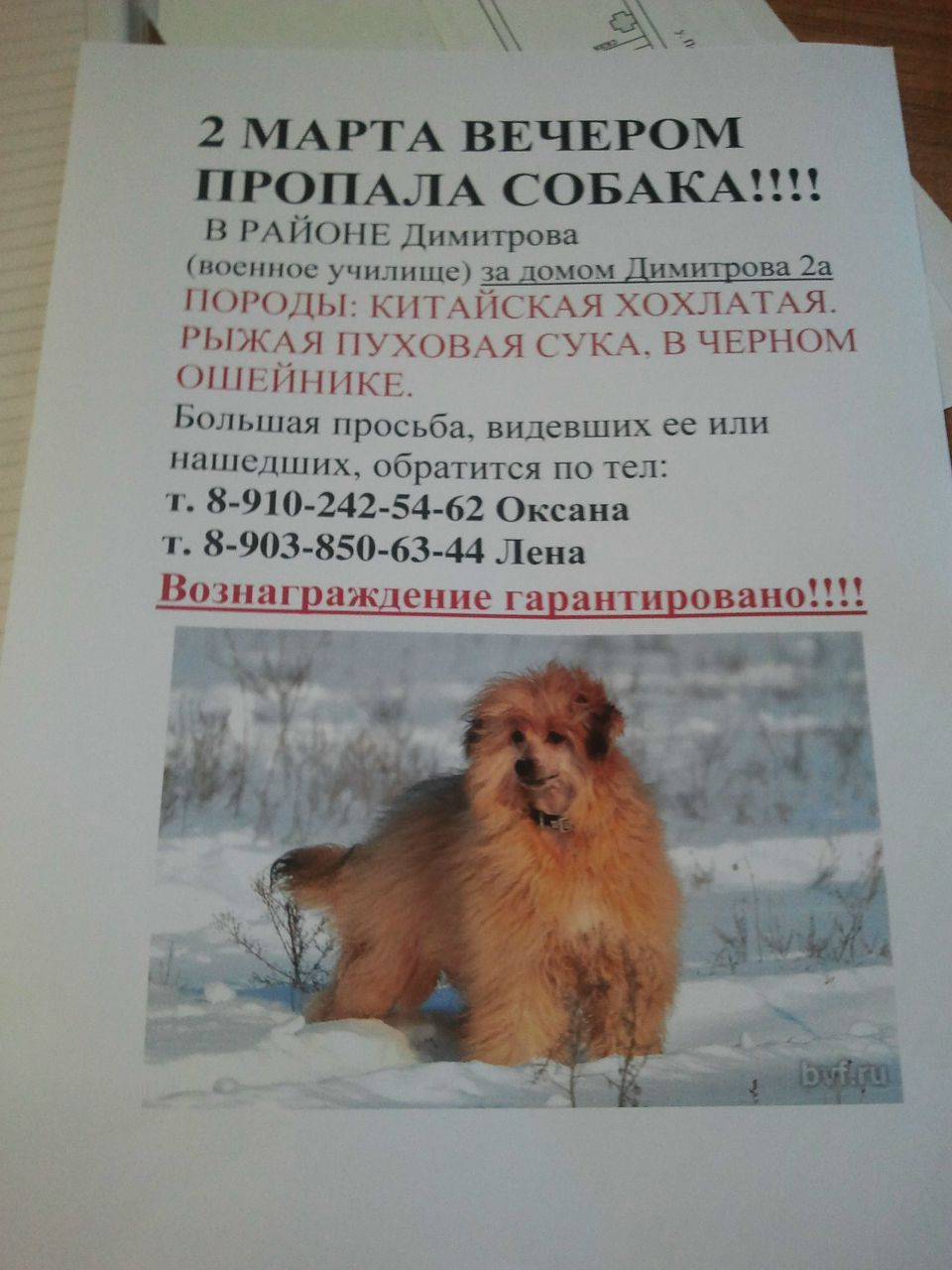 Марина Чудинова | Воронеж