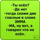 №28 Стефани Лейс : профиль, фото, статус - ВКонтакте