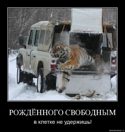 Игорь Соловьев | Чита