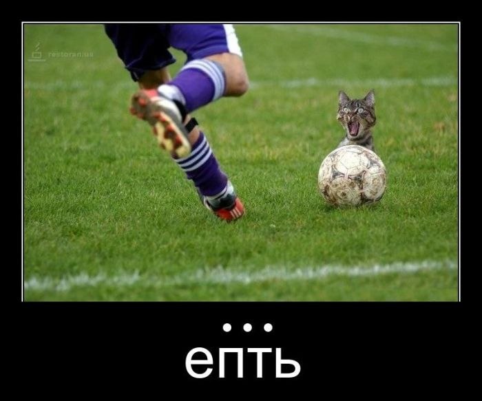 Макс Позябин Rhytmic | Кохтла-Ярве