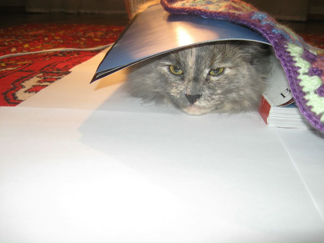 Эльза Давлетова | Уфа