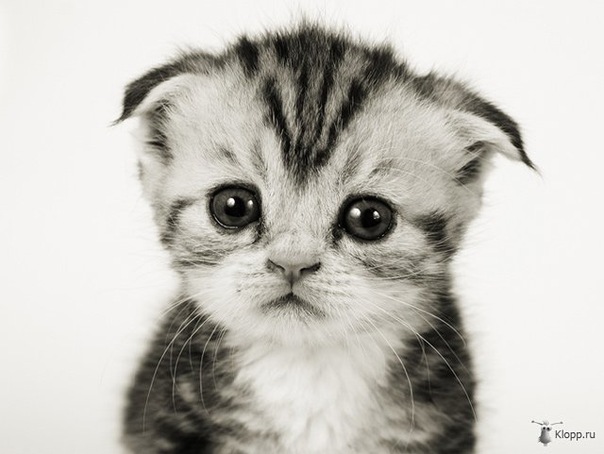 №38, Татьяна Боженкова, 35 лет, Гомель №38, Татьяна Боженкова, 35 лет, Гомель