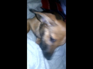 вай-вай-вай-вай-вай