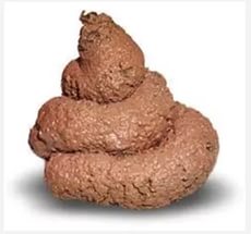 Скиффи Аркхи, Россия, Екатеринбург