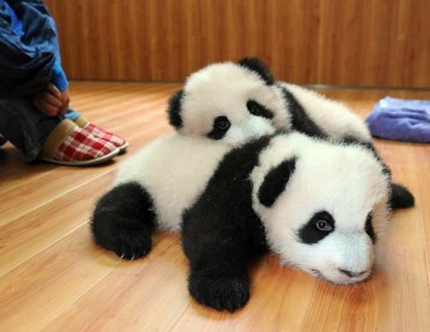 Галина Кунгурова, Россия, Новокузнецк