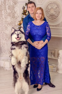 Дмитрий Макаров