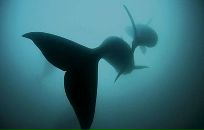 №18 Рашид Нурниязов 10.08.1989: профиль, фото, статус - ВКонтакте