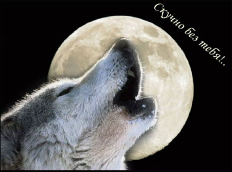 №51, Alesia Klemantovich, Минск №51, Alesia Klemantovich, Минск