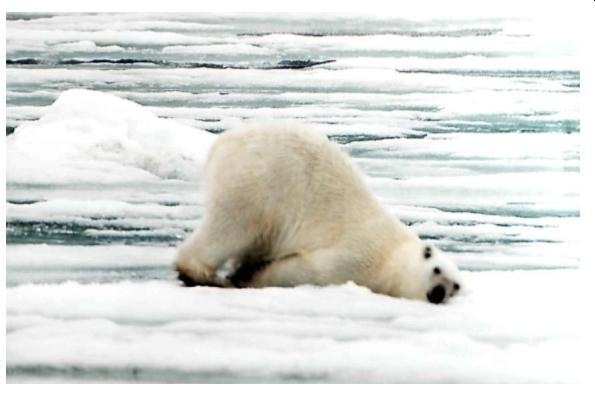 №70, Ксения Тараненко, Винница №70, Ксения Тараненко, Винница