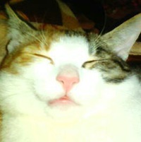 Анна Васильевна