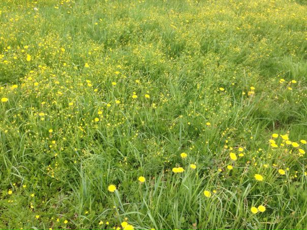 Наталья Божедомова, Россия, Москва