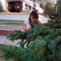 Елена Курбатова