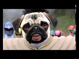 DAWG - МЫ легендарная битва