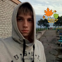 Дмитрий Котов