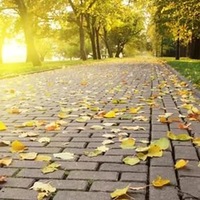Вера Киреева