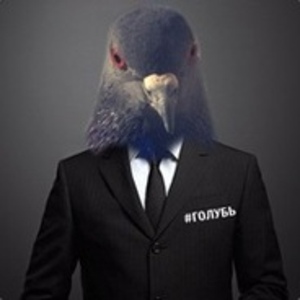 Golub_pavel - Twitch