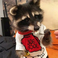 Саша Свиридов