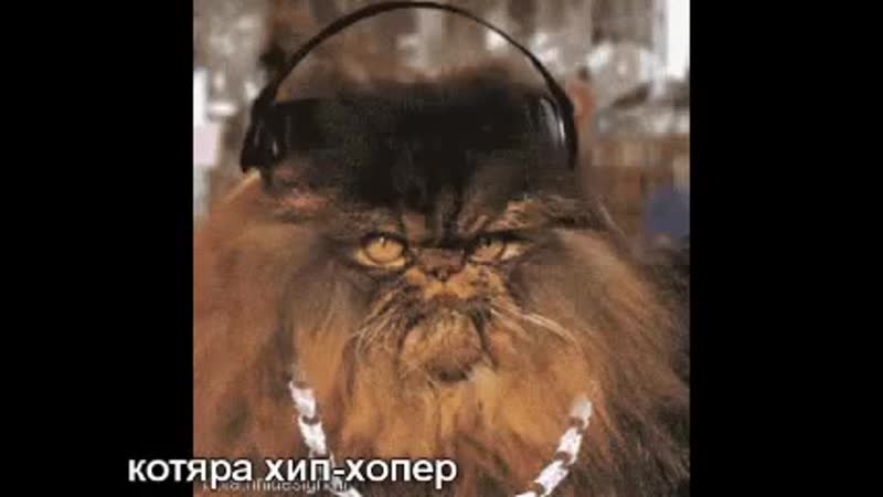 Смотрите ето просто ржач))))Коты